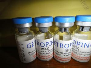 Nandrolone osteoporosis