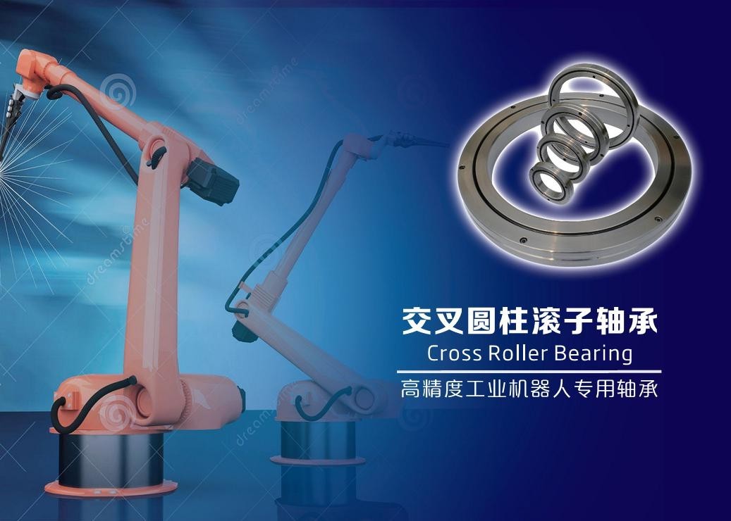 Best china full type cross roller bearing manufacturer Single Ball Bearing Roller RU 124X wholesale