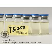 Testosterone enanthate dosage ml