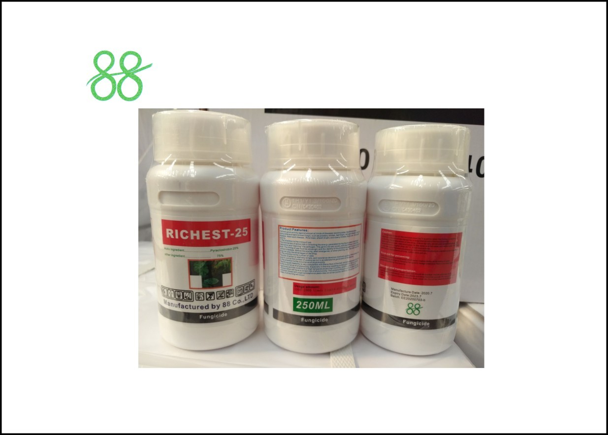 Best Peracetic Acid 21%SL Natural Plant Fungicide For Disinfection Sterilization wholesale