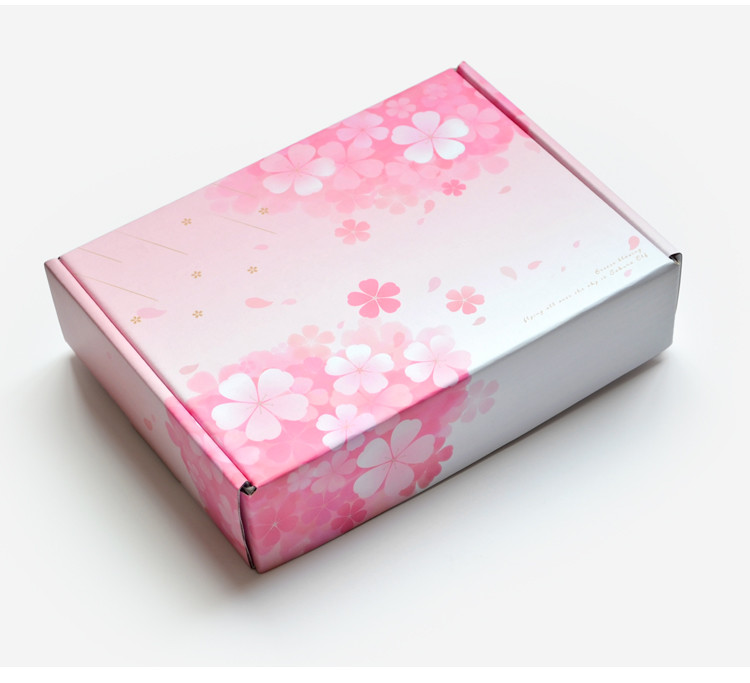 Best CSB0104 Cosmetic Shipping Box Corrugated Makeup Delivery Box wholesale