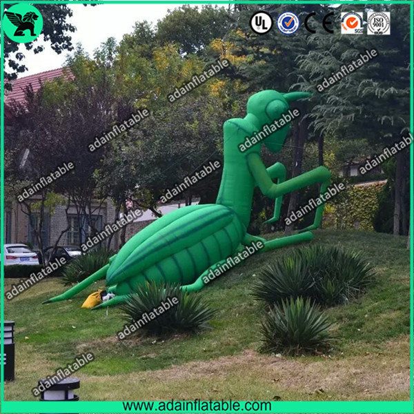 Buy cheap Inflatable Mantis from wholesalers