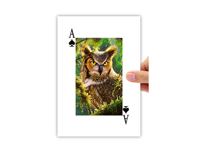 Best 5.6x8.7cm Lenticular Printing 3D Poker Card 4c On Backside Eco - Friendly wholesale