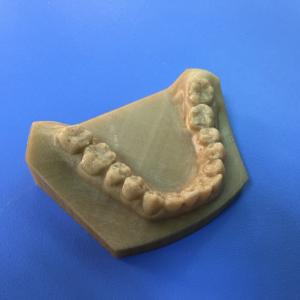 Best High Precision Gray Tooth Model FDM 3D Printing Service For Medical Industry wholesale