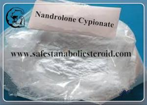 Nandrolone in horses