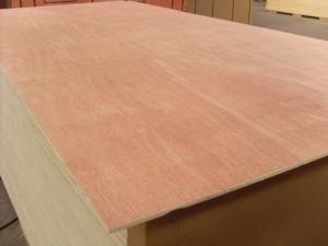 Best Poplar Core Commercial Plywood Bintangor B/BB Face 2 Time Hot Press Processing wholesale