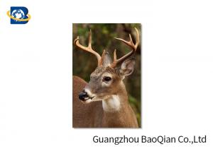 Best Animal Lenticular Greeting Cards , Deer 3D Greeting Cards For Christmas / New Year wholesale