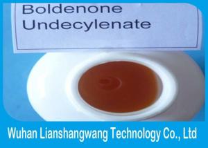Boldenone 300 cycle