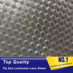 Best OK3D fly eye 3d sheet new product dot lens sheet 3d effect 360 degrees lenticular sheet arrays fly eye lenses sheet wholesale