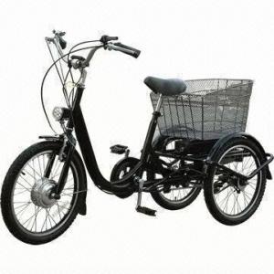 Electric Bike with CE or EN 15194 Certified