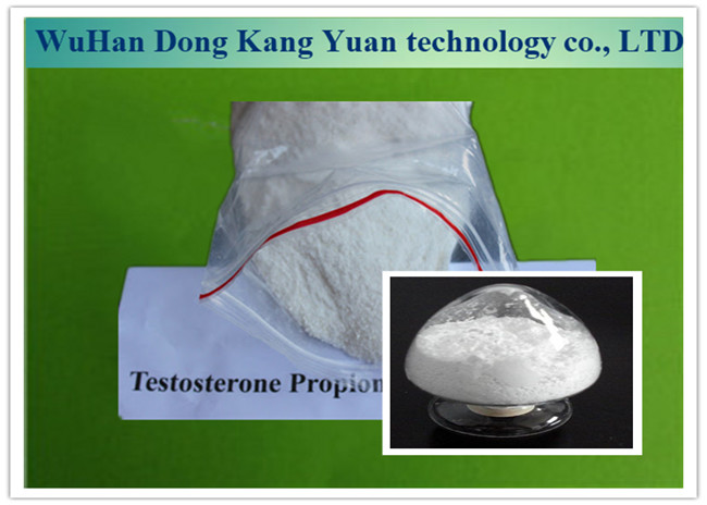 Best 1045-69-8 Steroid Hormone Powder Testosterone Acetate Powder For Male Get Muscle wholesale