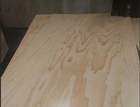 Best 2 Sides / 1 Side UV Coated Plywood Radiata Pine Face And Back Eco Friendly wholesale