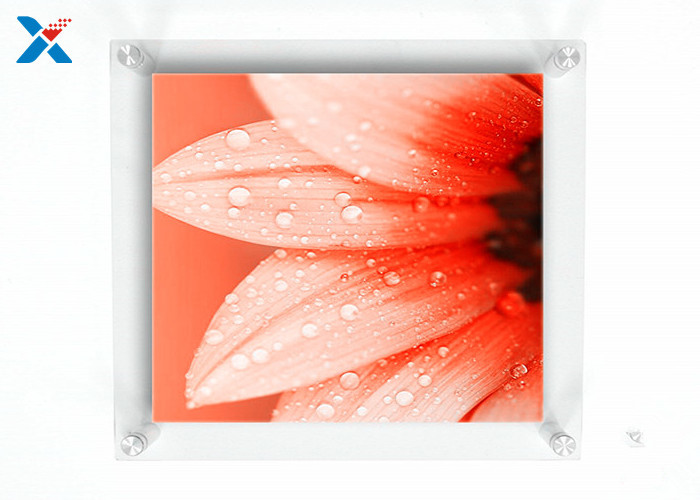 Best Wall Mounted Acrylic Photo Frames / Double Panel Clear Acrylic Floating Frame wholesale