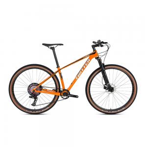 Best 27.5 29er Carbon Firber Mountain Bike STORM2.0 RETROSPEC 13 Speed Groupset wholesale