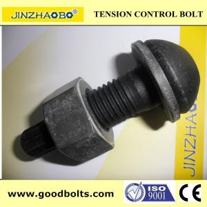 tor shear type ASTM A325 TC bolt-made in China
