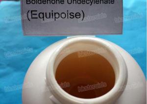 Equipoise cycle for horses
