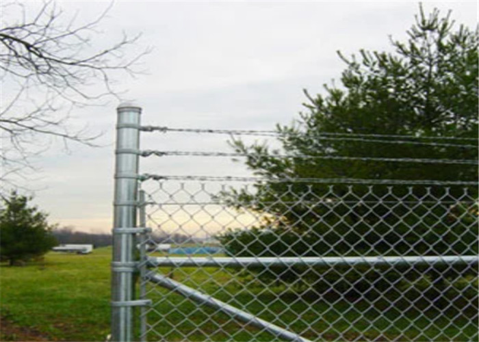 5 Ft High Chain Link Mesh Fencing Galvanized 2-1/4" X 11-1/2 Ga Mesh 50 Ft Roll for sale