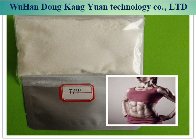 Best 1255-49-8 Steroid Hormone Powder 99% Testosterone Phenylpropionate Powder wholesale