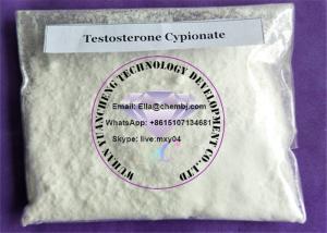 Cost of testosterone test