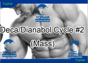 8 week steroid mass cycle