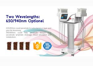 Best Ce Approved 4d Lipo Laser Slimming Machine With 6/8/10/12/14/16 Pads wholesale