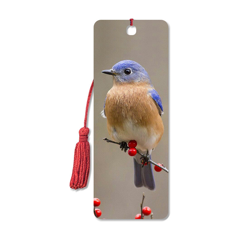 Best Bird Design 3D Animal Bookmarks With Two Side CMYK Printing / Personalised Bookmarks For Schools wholesale