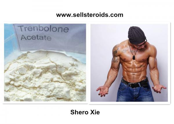High Pure Pharmaceutical Trenbolone Acetate Injection For Lean Muscle ...