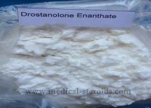 Masteron enanthate cycle results