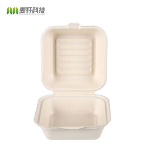 Best Custom Clamshell Take Out Containers Sugarcane Bagasse Hamburger Box wholesale