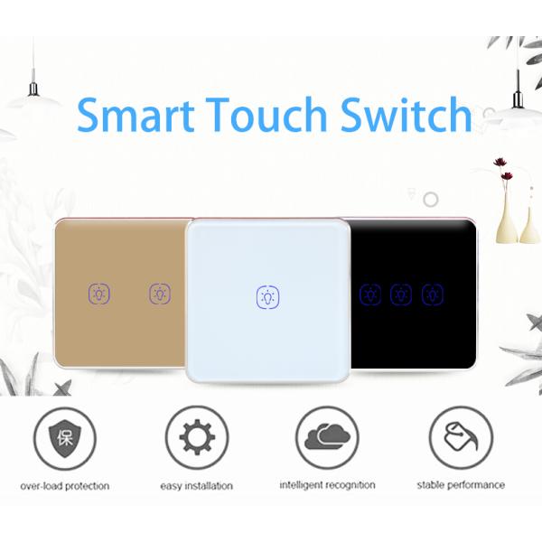 WiFi 240V 2 Gang Tuya Smart Switch With Google Alexa Voice Control
