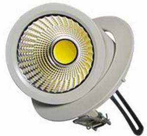 Best New LED gimbal downlight COB 30W wholesale