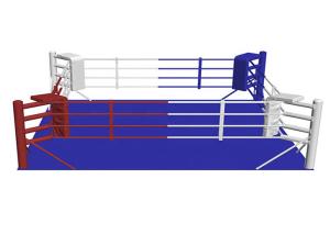 Customized Size Boxing Training Equipment Floor Boxing Ring Ground Style