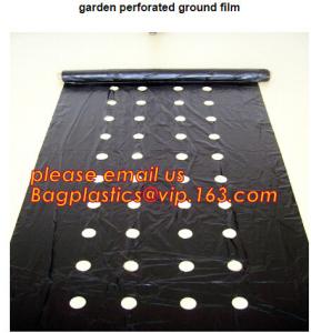 perforated ground film, Vapor Barrier film, Greenhouse film, Agricultural Panda Film, Reflective Maylar Film