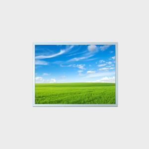 15 Inch LCD Display Panel 1024*768  Waterproof LCD Screen For Advertising Outdoor