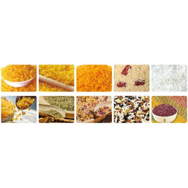 Stainless Steel 304 Artificial Rice Machine Automatic 1000kg/Hr Extruder