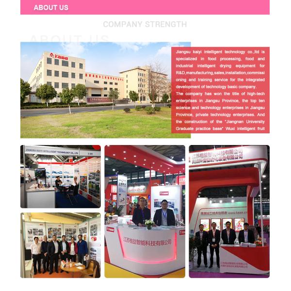 Turnkey dried persimmon processing line dried persimmon turnkey project