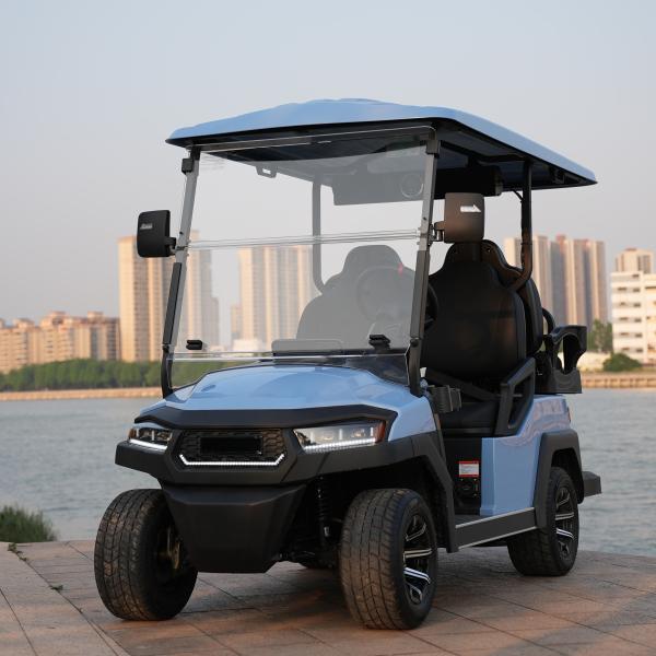 Cheap 2 4 6 Seat Electric Lithium Battery Sightseeing Golf Cart Golf Buggy Car with DOT Comfortable and Spacious for sale
