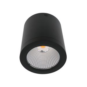 Best Anti Glare 1000lm Surface Mounted Downlight 10W wholesale