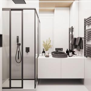 White Bathroom Mirror Cabinets Waterproof Bathroom Vanity Cabinets