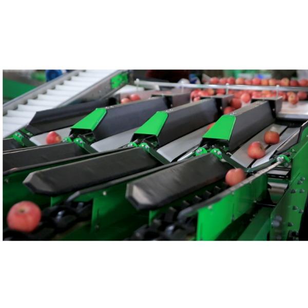 Automatic fruit and vegetable electronic fruit picker ,classifier,weight sorter