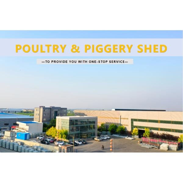 Customized Plastic Broiler Cage Equipment Automatic Poultry Breeding Equipment
