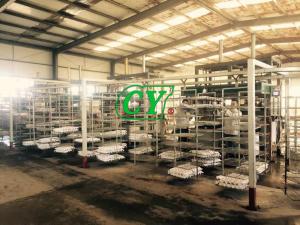 Best Eco Friendly Pulp Drying Machine Egg Carton Production Line wholesale