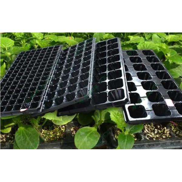 Black Vegetable Plant Seed Plastic Propagation Starter Seedling Trays 21 Cells