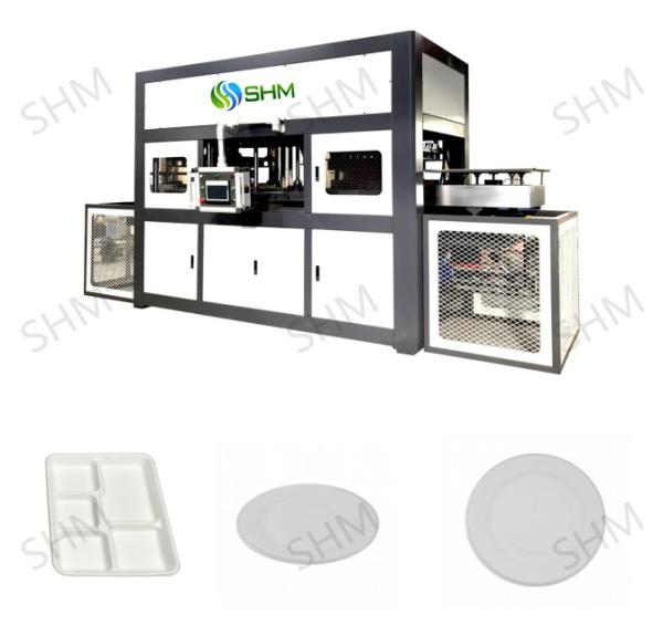Cheap Biodegradable Pulp Molding Tableware Machine Customized Pulp Tray Machine Line for sale