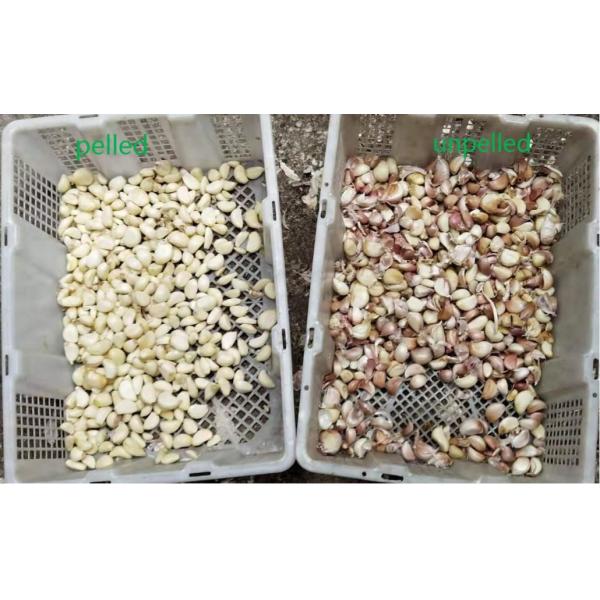 Wenyao Auto Dehydrated Vegetable Sorting Machine 2 Chutes Optical