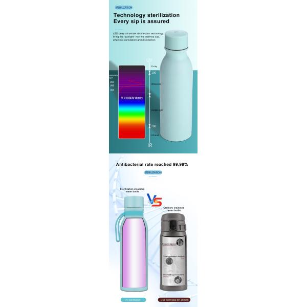 650Ml SS304 Uv Sterilizer Water Bottle With PP Lid