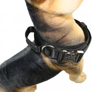 China 40 Inch 32 Inch Cute Dog Collars 30cm 75cm X Xs Xl Personalized Dog Collar Luxury on sale