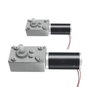 Faradyi Customized Long Life Worm Gear Motor 12v 24v Low Rpm Shaft Geared Electric Brush Brushless DC Motor For Machine Tools