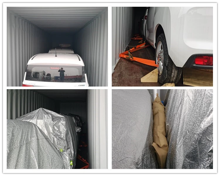 Raysince Factory Price High Speed Electric Car China Supplier Hot Sales New Energy Car with Four Seats and and Five Door
