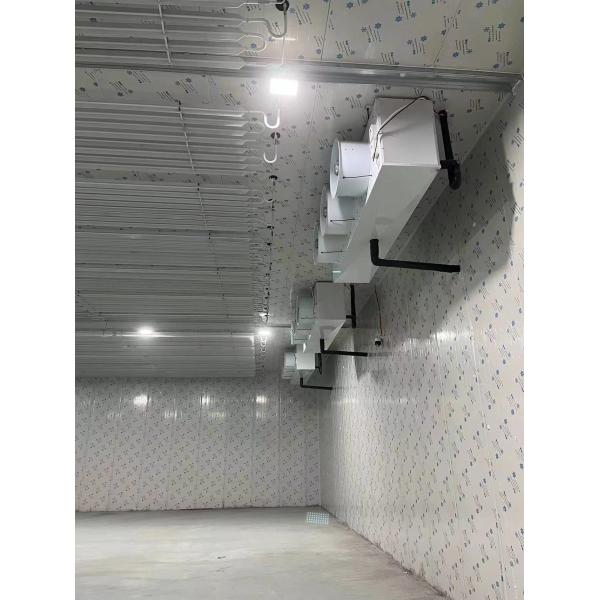 Fruit / Vegetable Freezer Cold Room Cold Storage Units For Fresh Keeping / Freezing